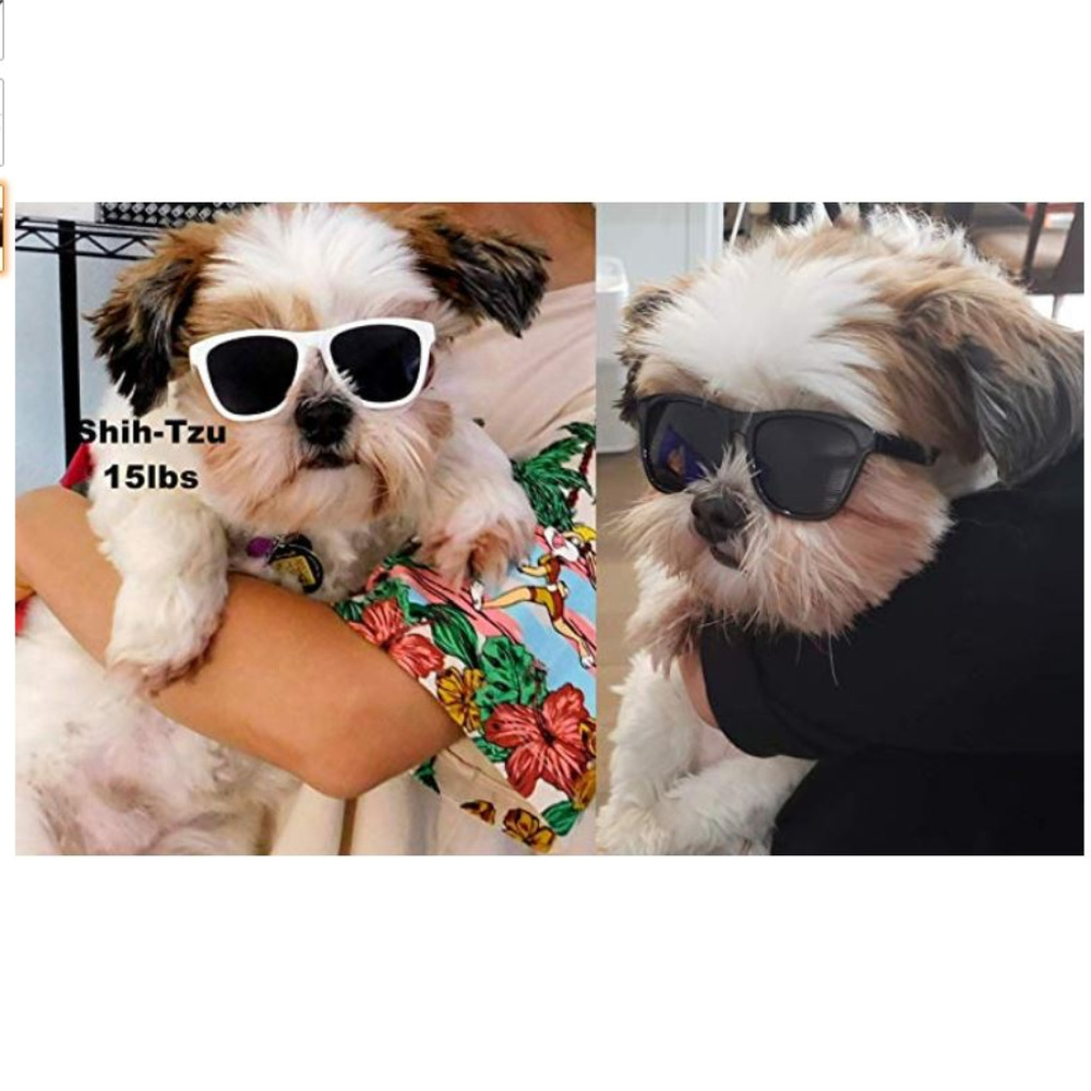 DOG SMALL BLACK 80'S RETRO SUNGLASSES MATTE BLACK - Picture 3 of 4